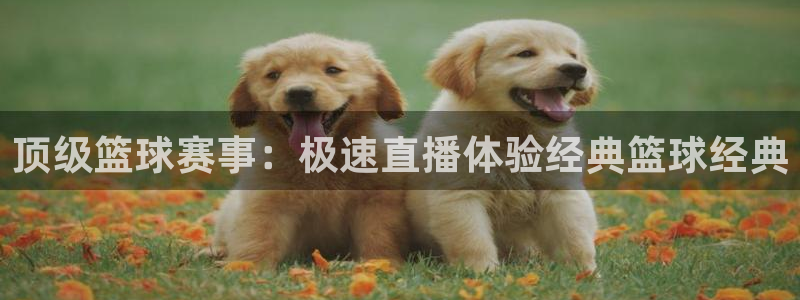 so米体育直播足球：顶级篮球赛事：极速直播体验经典篮球经典