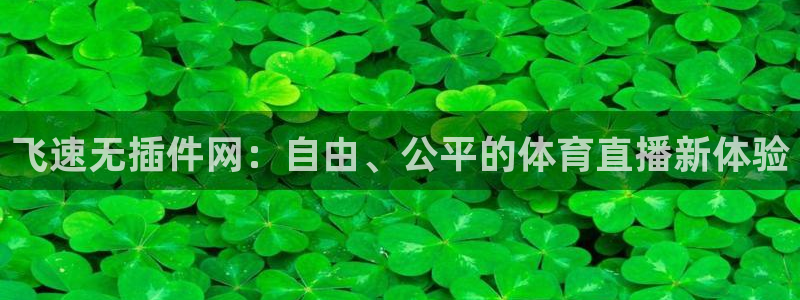 so米体育直播：飞速无插件网：自由、公平的体育直播新体验