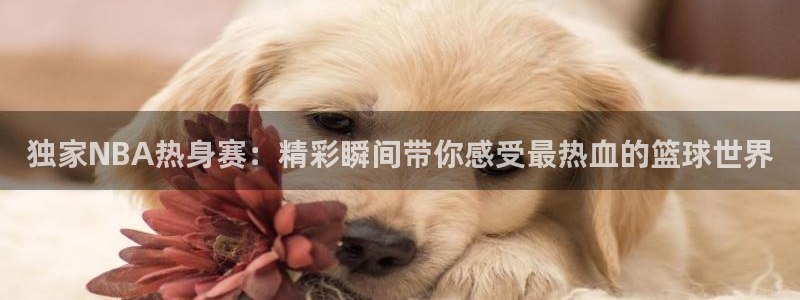 so米体育直播官网：独家NBA热身赛：精彩瞬间带你感受最热血的篮球世界