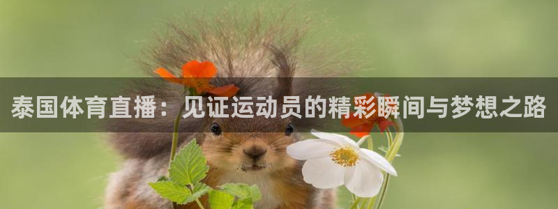 足球so米直播：泰国体育直播：见证运动员的精彩瞬间与梦想之路