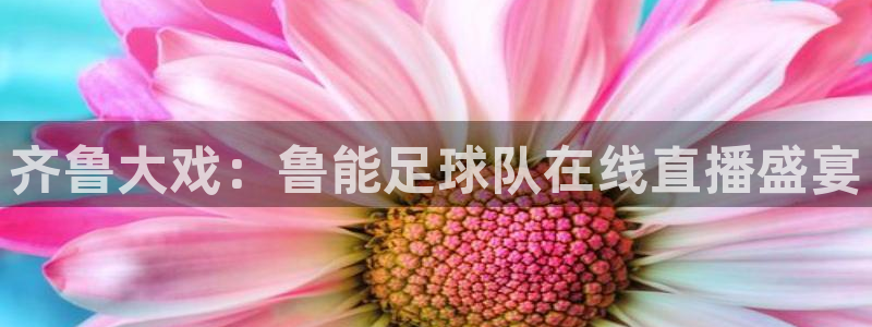 so米足球比赛直播：齐鲁大戏：鲁能足球队在线直播盛宴