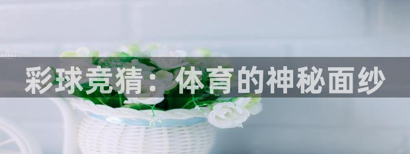so米体育赛事：彩球竞猜：体育的神秘面纱