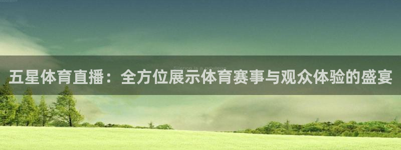 so米体育nba在线直播：五星体育直播：全方位展示体育赛事与观众体验的盛宴