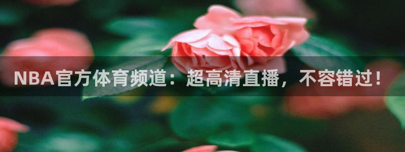 so米体育直播观看：NBA官方体育频道：超高清直播，不容错过！